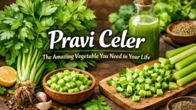 Pravi Celer